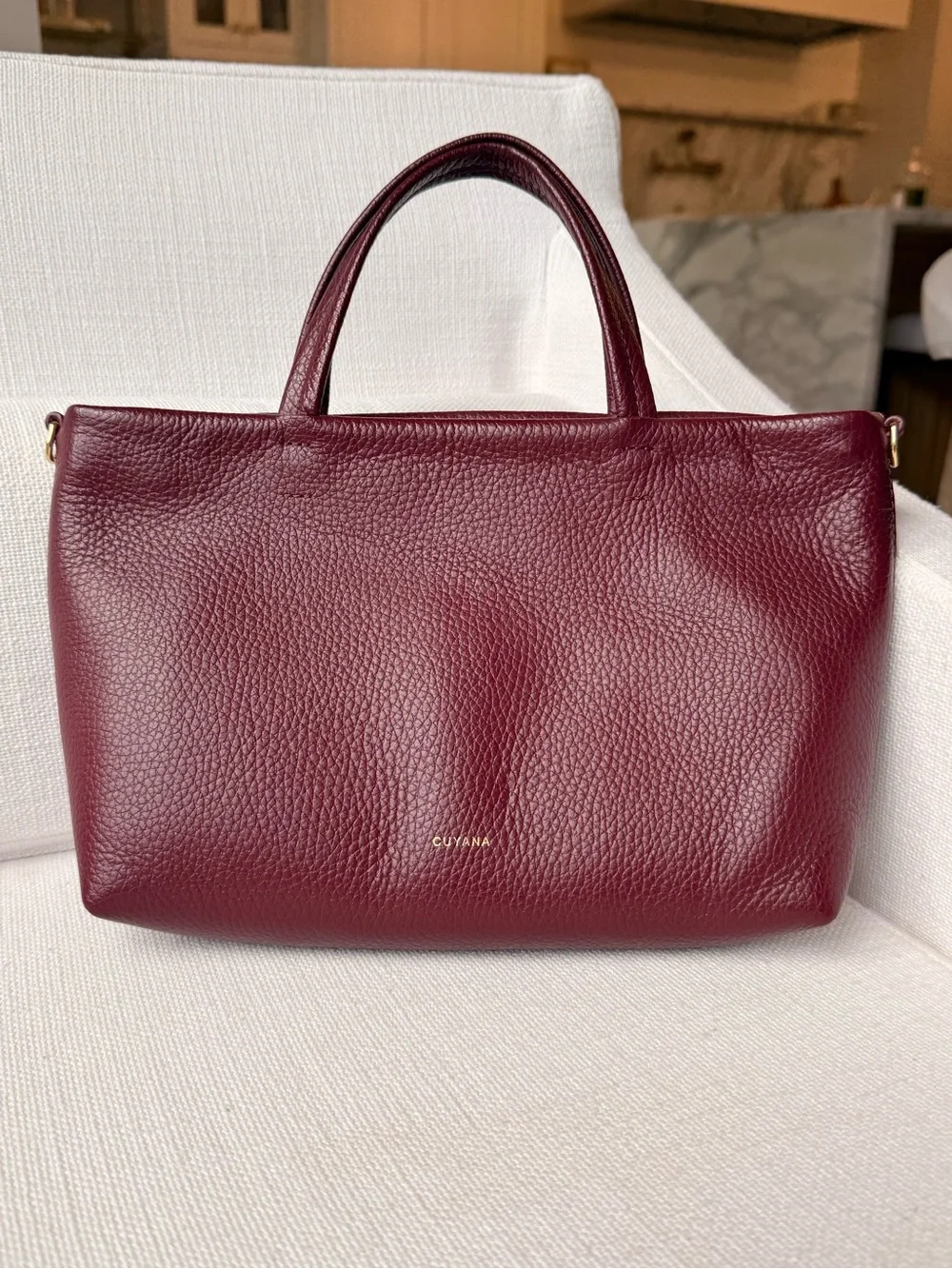 Cuyana Mini Easy Zipper Tote Bag in Cherry - Picture 3 of 6